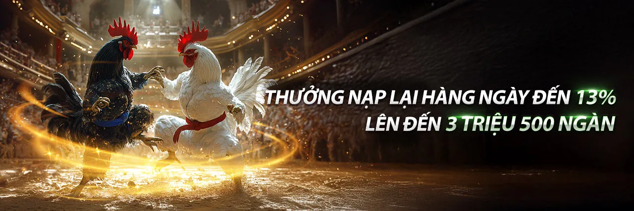 Đối tác mb666 hợp tác thành công